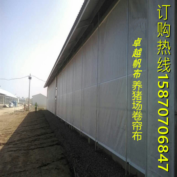 供应各大养殖场卷帘布 透光猪场布 牛场卷帘布