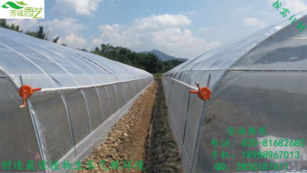 供应*温室大棚建设*种植蔬菜大棚