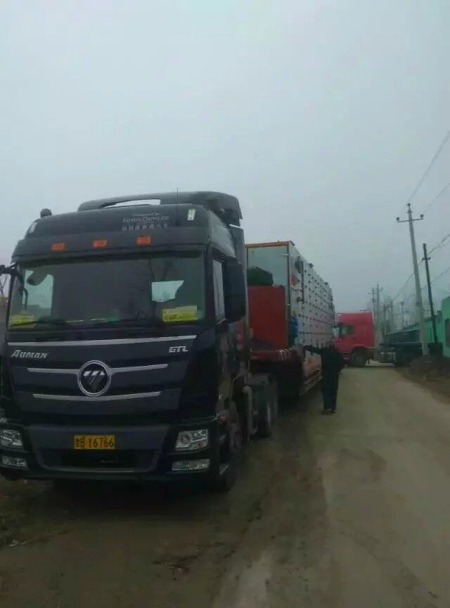 青岛大型全自动辣椒干燥机