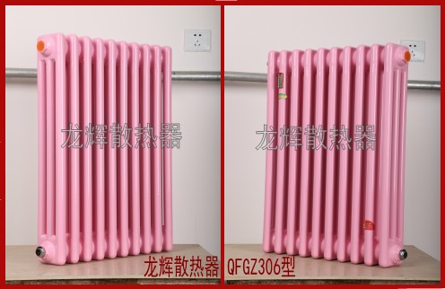 QFGZ306散热器QFGZ306